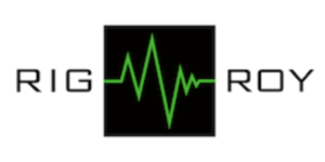 rigroy berekent tijdelijke event constructies uit met RFEM rekensoftware